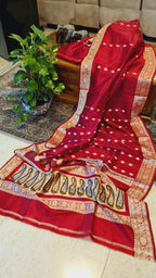 Zenat All products - Available