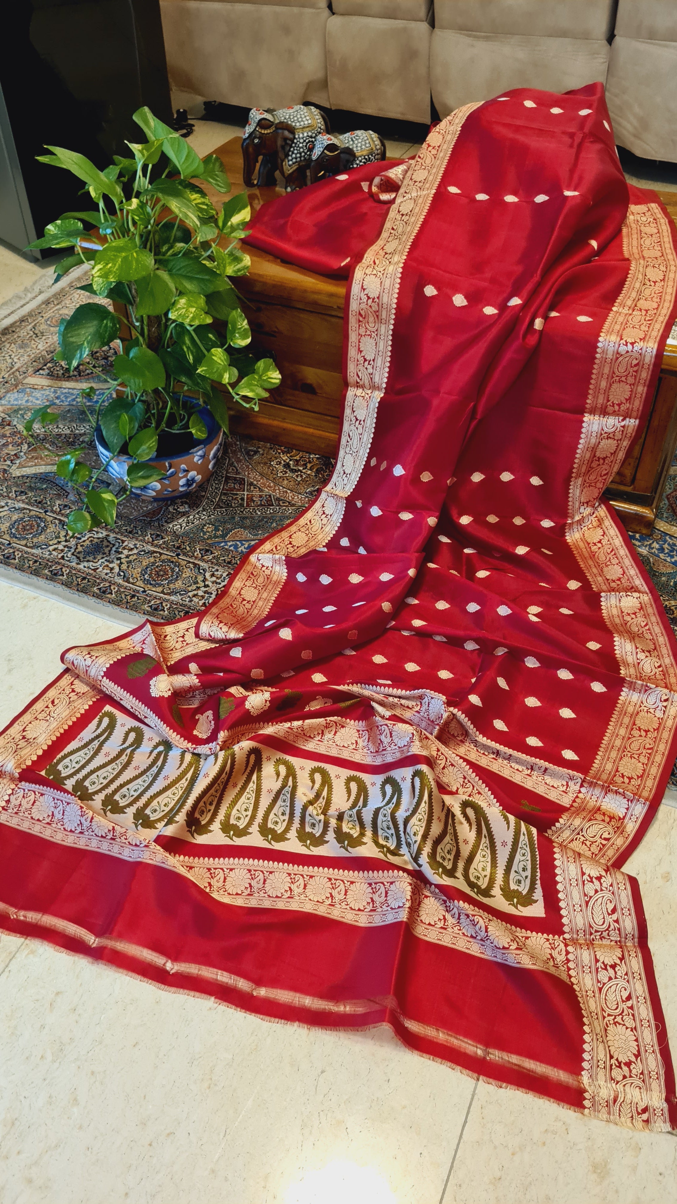 Zenat All products - Available