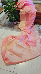 Zenat All products - Available