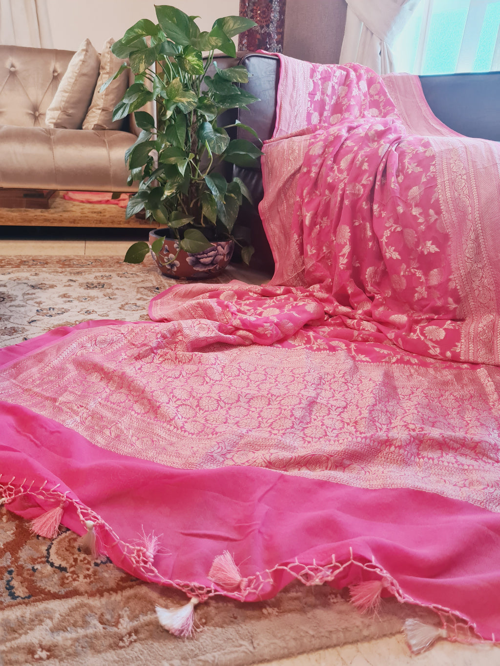 Zenat All products - Available