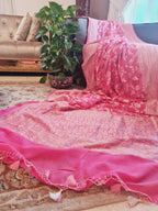 Zenat All products - Available