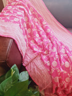 Zenat All products - Available