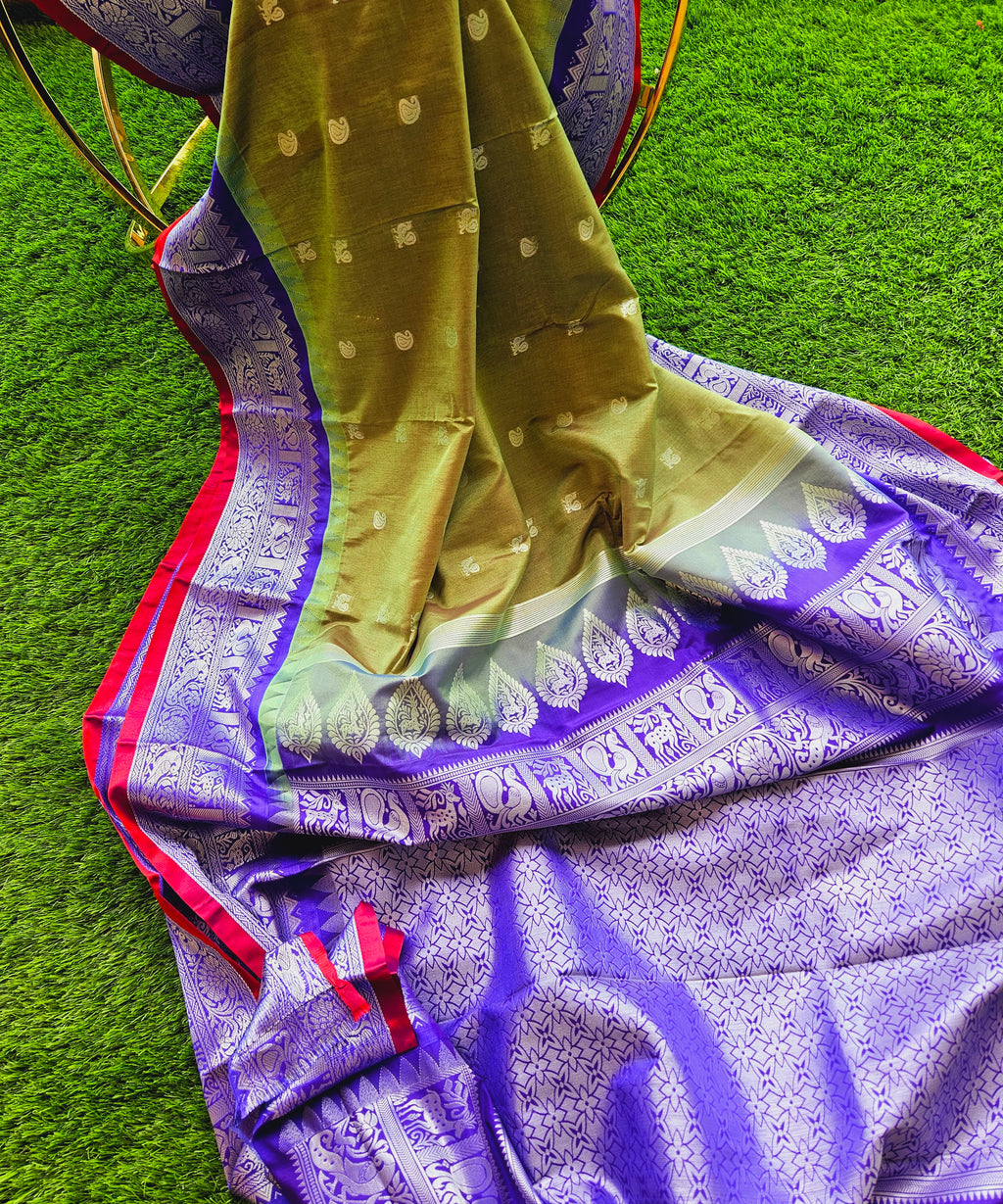 Zenat All products - Available